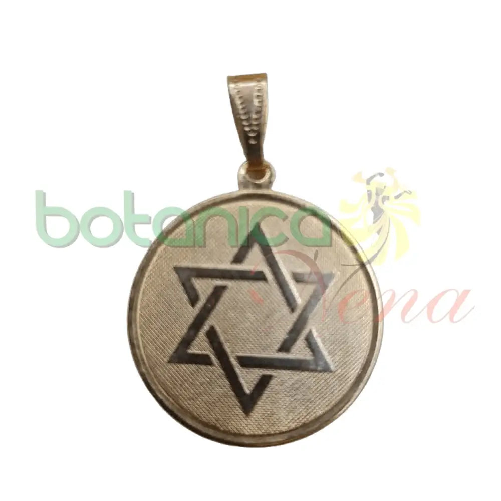 Medalla con Estrella de David 1"H Baño de Oro - Botanica Nena