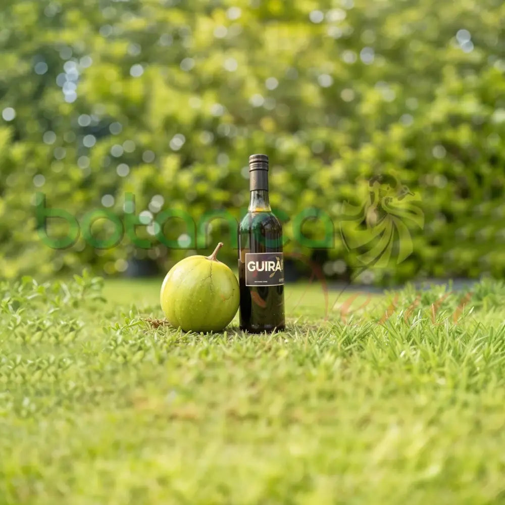 Guira Honey - Botanica Nena