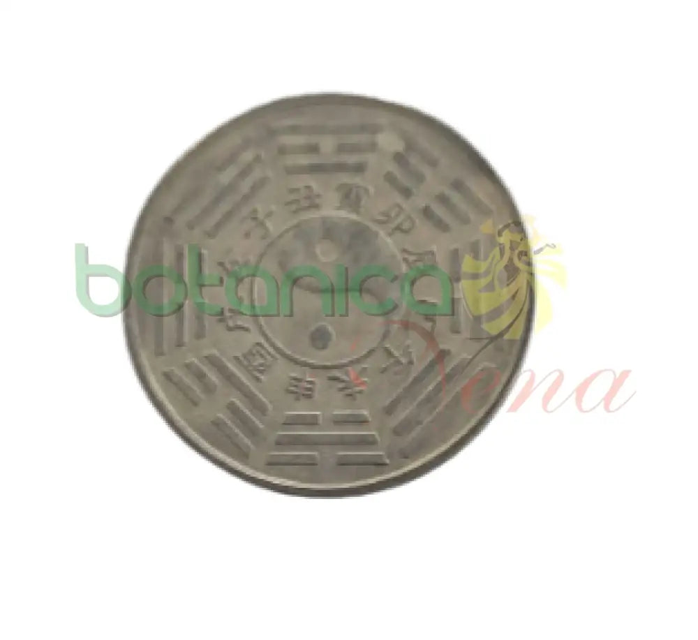Moneda China Plateada