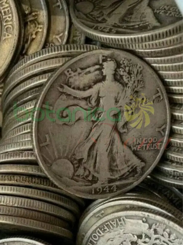 MONEDA DE PLATA - Botanica Nena