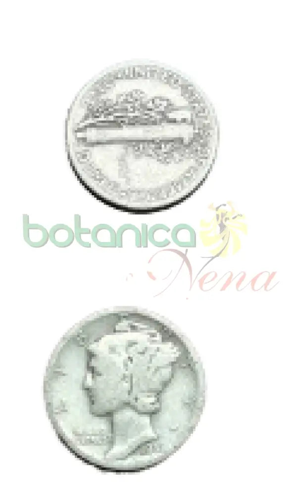 MONEDA DE PLATA - Botanica Nena