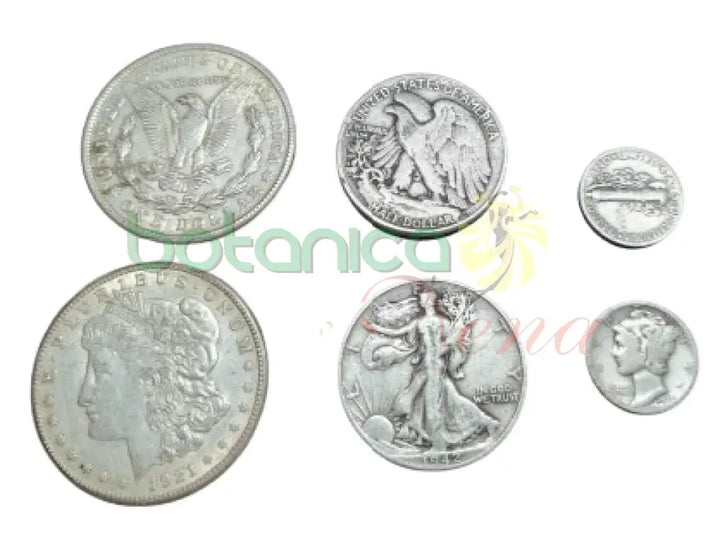 MONEDA DE PLATA - Botanica Nena