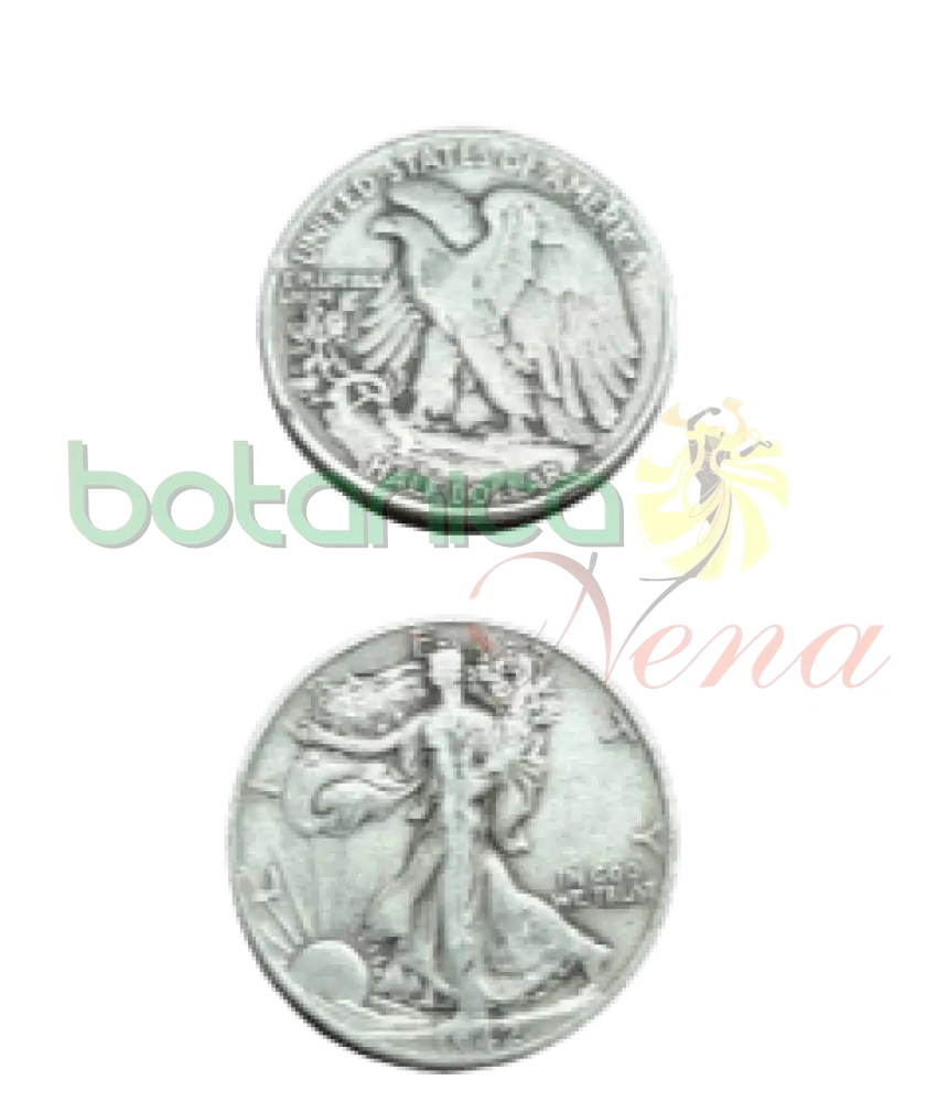 MONEDA DE PLATA - Botanica Nena