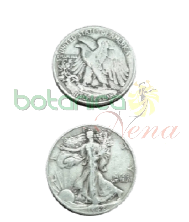 MONEDA DE PLATA - Botanica Nena