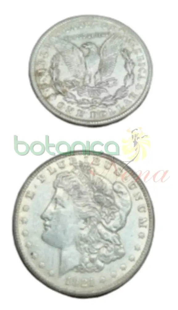 MONEDA DE PLATA - Botanica Nena
