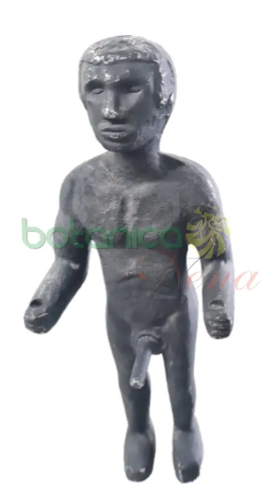 Muñeco Hierro 2 tamaños - Botanica Nena