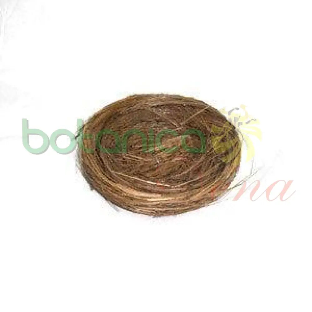 Nido de pajaro - Bird nest - Botanica Nena