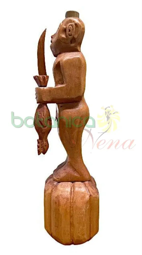 Oba Kolaba 17"Alto X5" Obba Kolaba - Botanica Nena