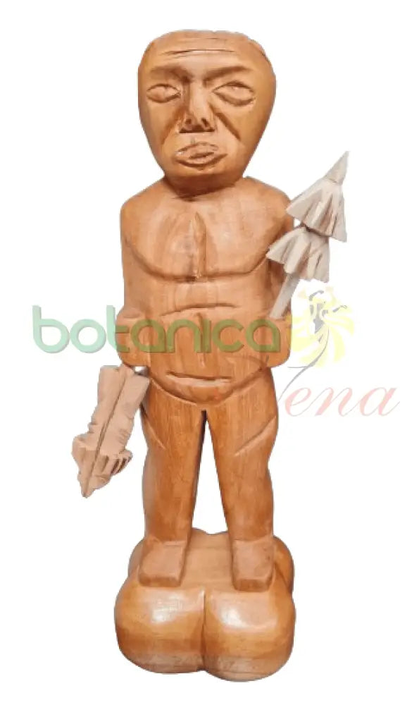 Obba Kolaba 12"Alto X5"Ancho - Botanica Nena