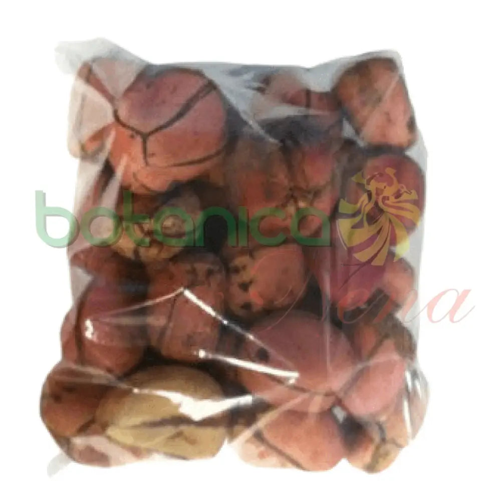 Obbi Abbata (ashe) - Botanica Nena