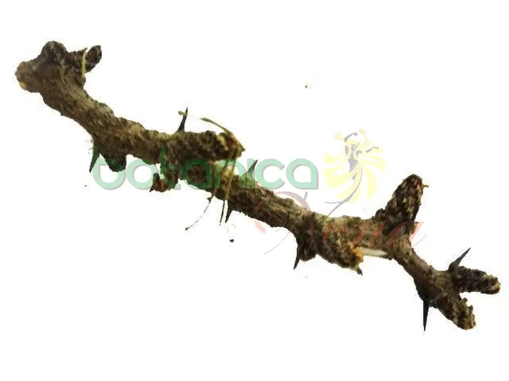 Palo Aroma 5" - 6" Aprox. - Botanica Nena