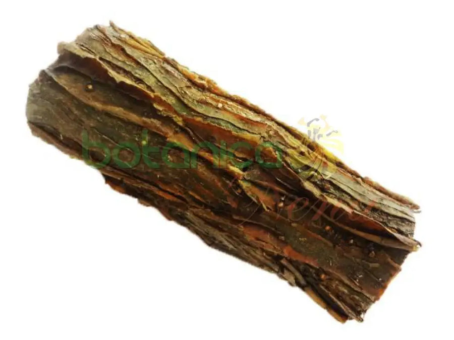 Palo Arrasa Con Todo 5" - 6" Aprox. - Botanica Nena