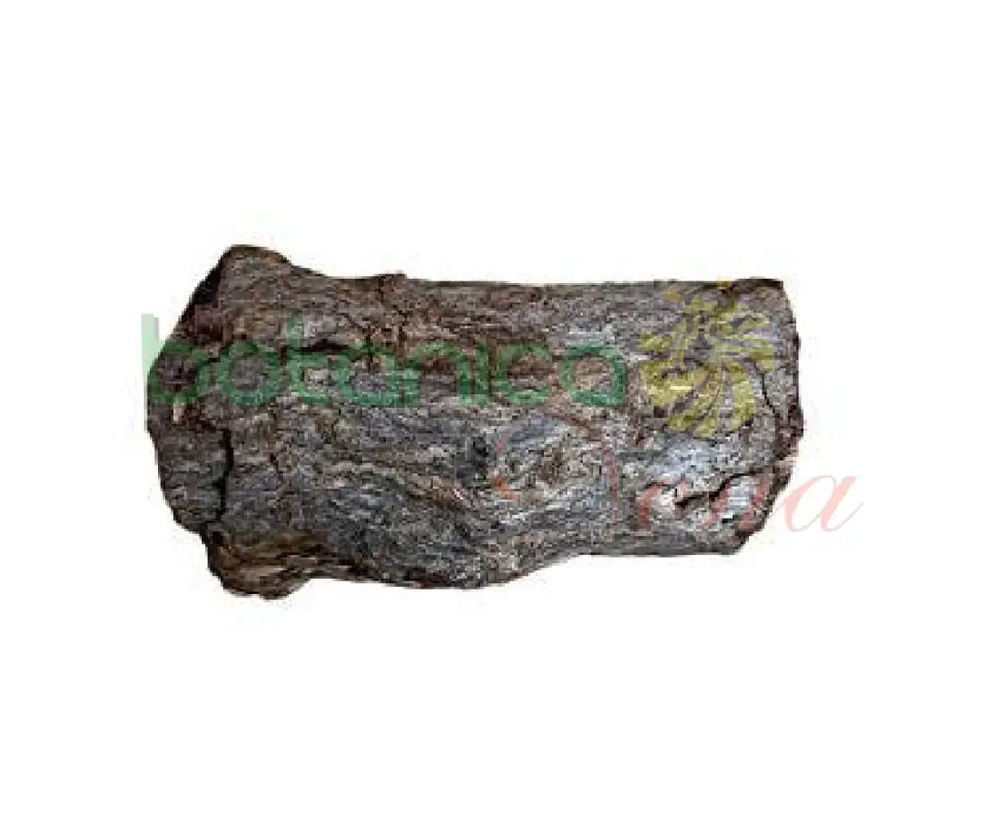 Palo Bejuco Berraco 5" - 6 " Aprox. - Botanica Nena