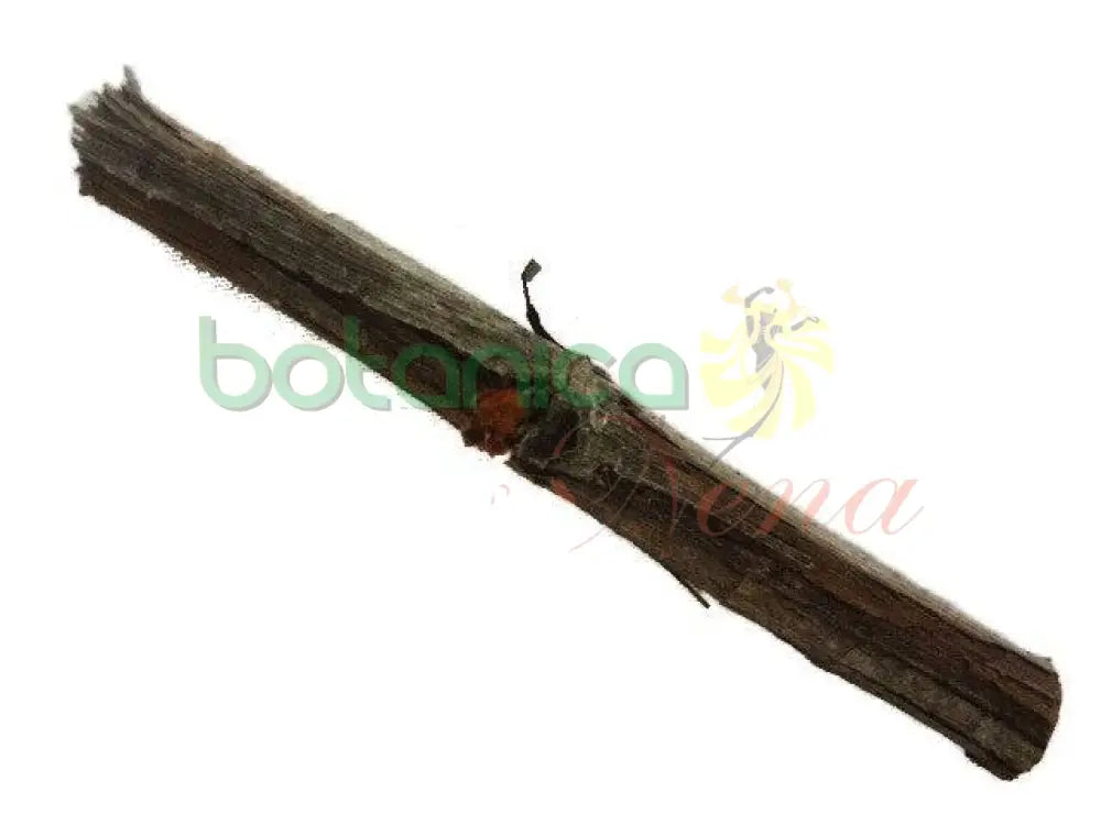 Palo Bejuco Madrina 5" - 6" Aprox. - Botanica Nena