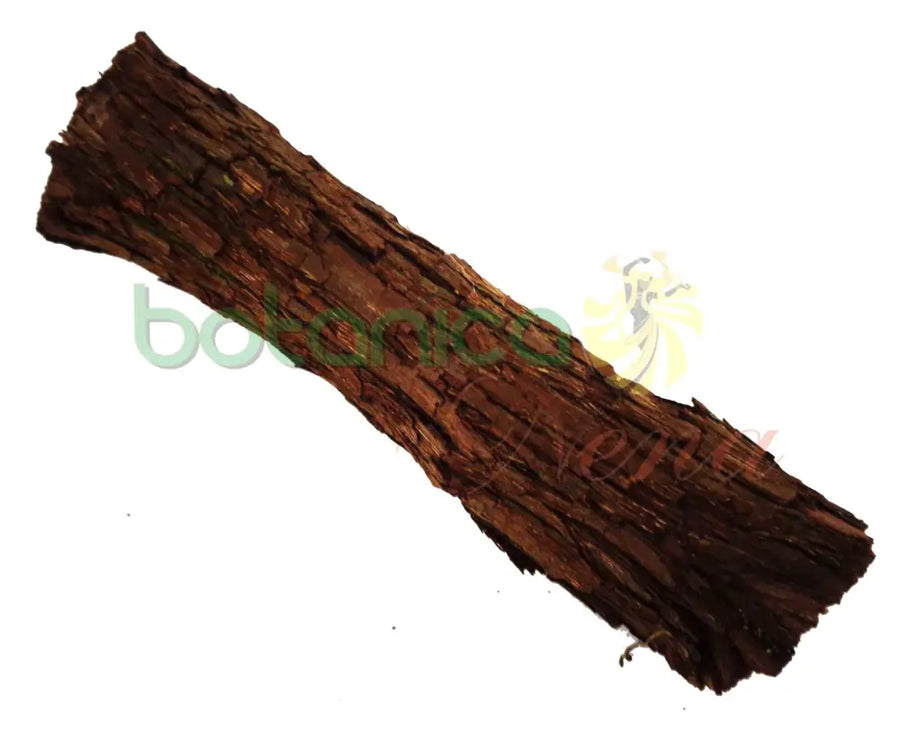 Palo Bejuco Uvi 5" - 6" Aprox. - Botanica Nena