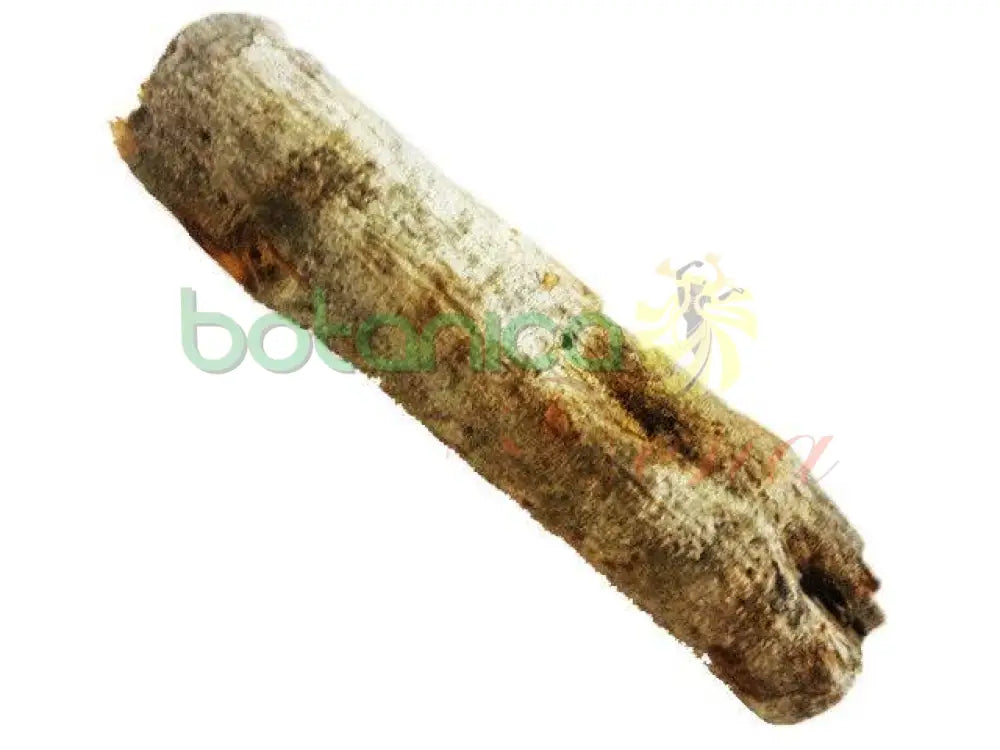 Palo Campeche 5" - 6" Aprox. - Botanica Nena