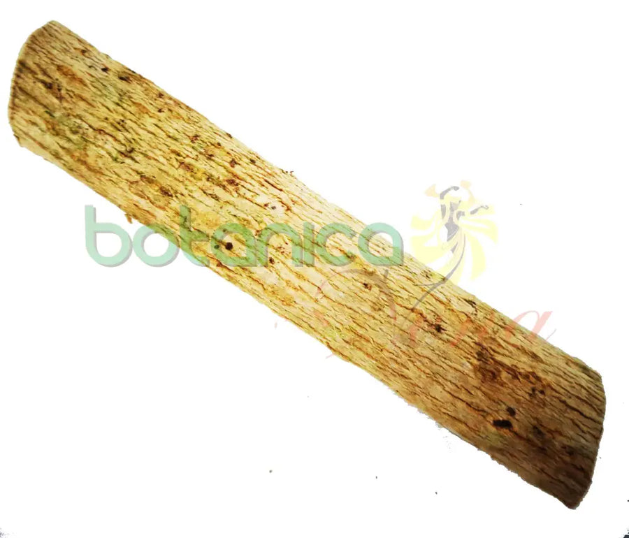 Palo Cañe 5" - 6" Aprox. - Botanica Nena