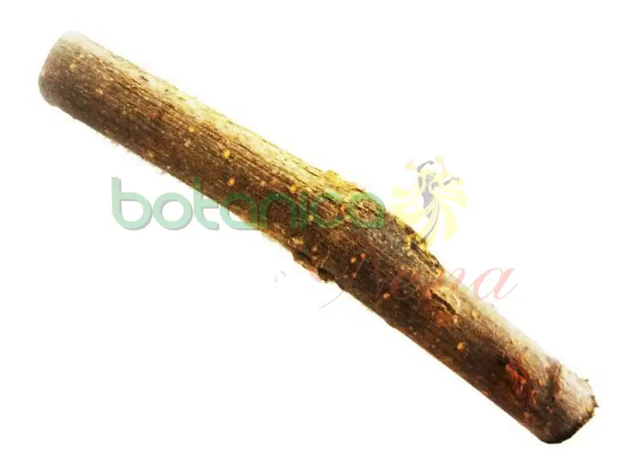 Palo Cola de Gato 5" - 6" Aprox. - Botanica Nena