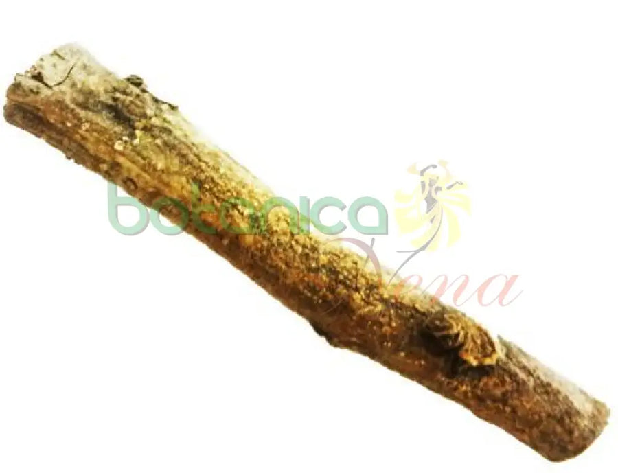 Palo Cola de Raton 5" - 6" Aprox. - Botanica Nena