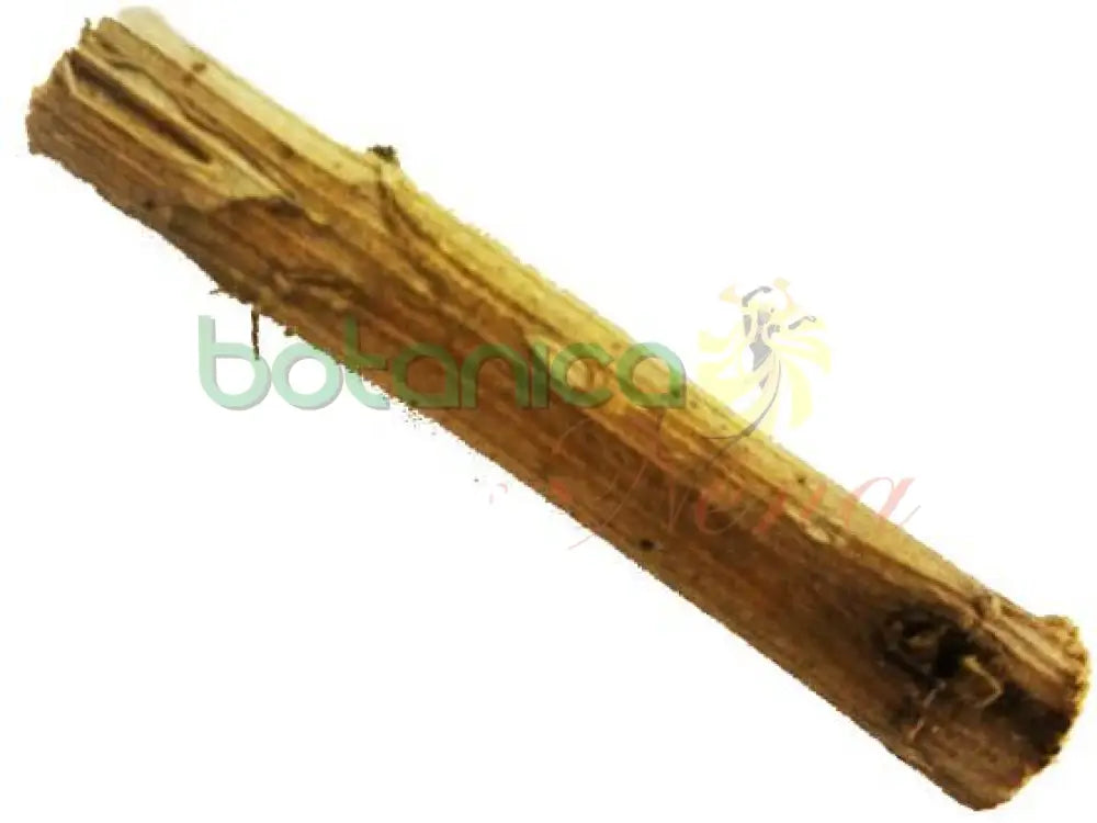 Palo Cotori 5" - 6" Aprox. - Botanica Nena