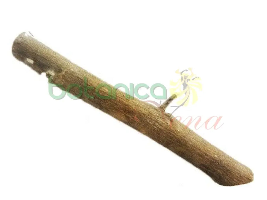 Cottonwood Stick (Algodón) - Botanica Nena
