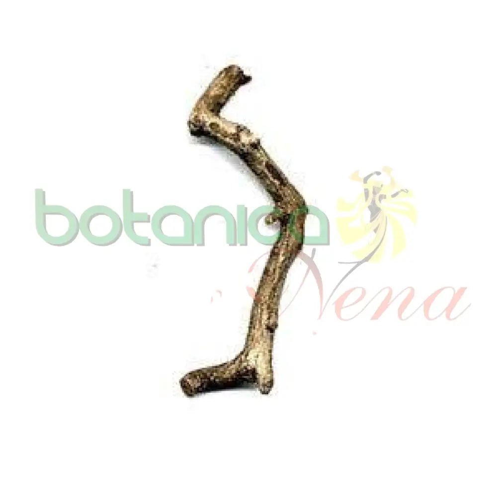 Palo Dominador 5" - 6" Aprox. - Botanica Nena