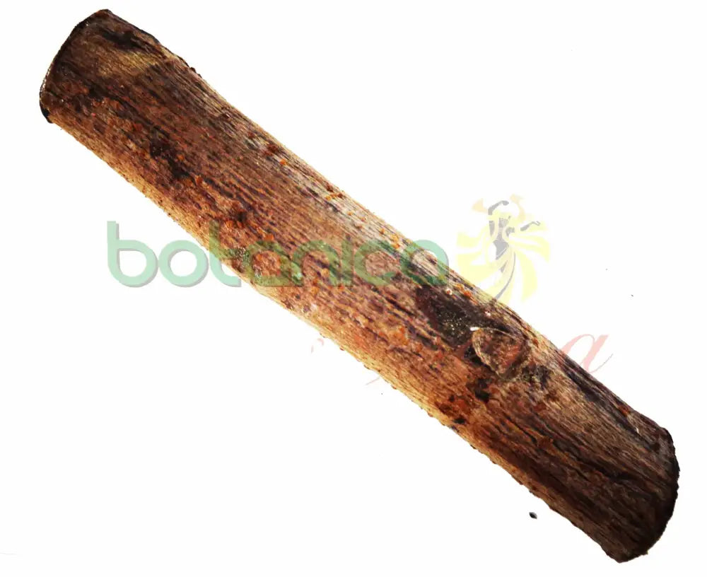 Palo Doncella 5" - 6" Aprox. - Botanica Nena