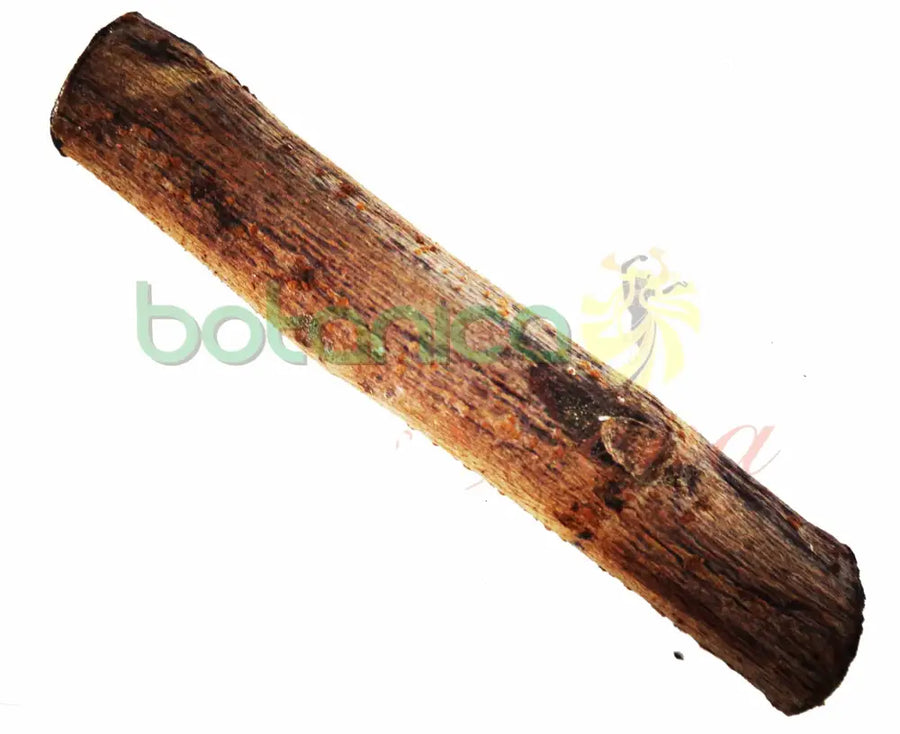 Palo Doncella 5" - 6" Aprox. - Botanica Nena