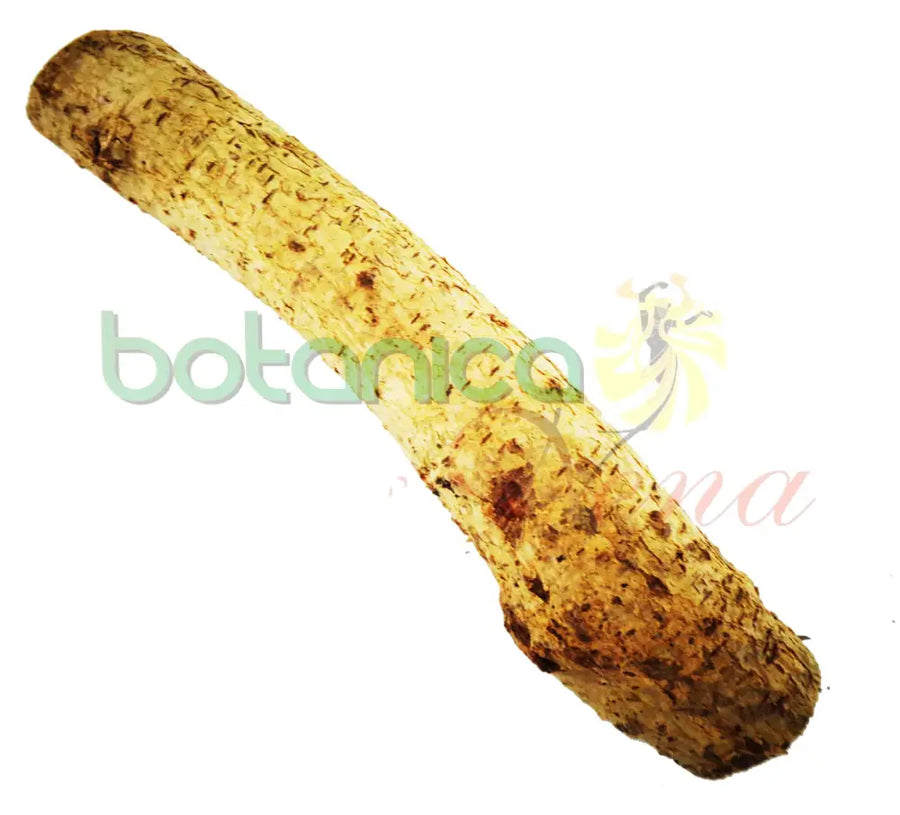 Palo Granadilla 5" - 6" Aprox. - Botanica Nena