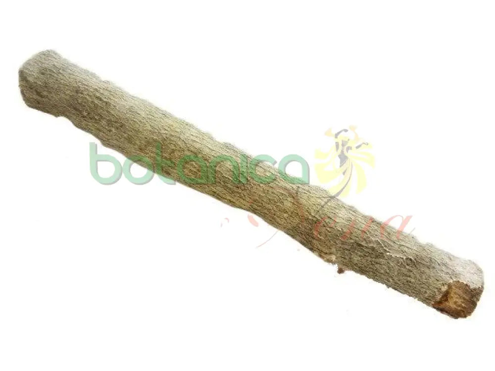 Palo Guachinango 5" - 6" Aprox. - Botanica Nena