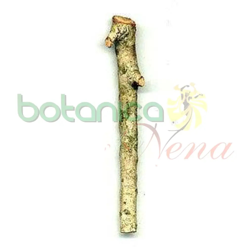 Palo Guayacan 5" - 6" Aprox. - Botanica Nena