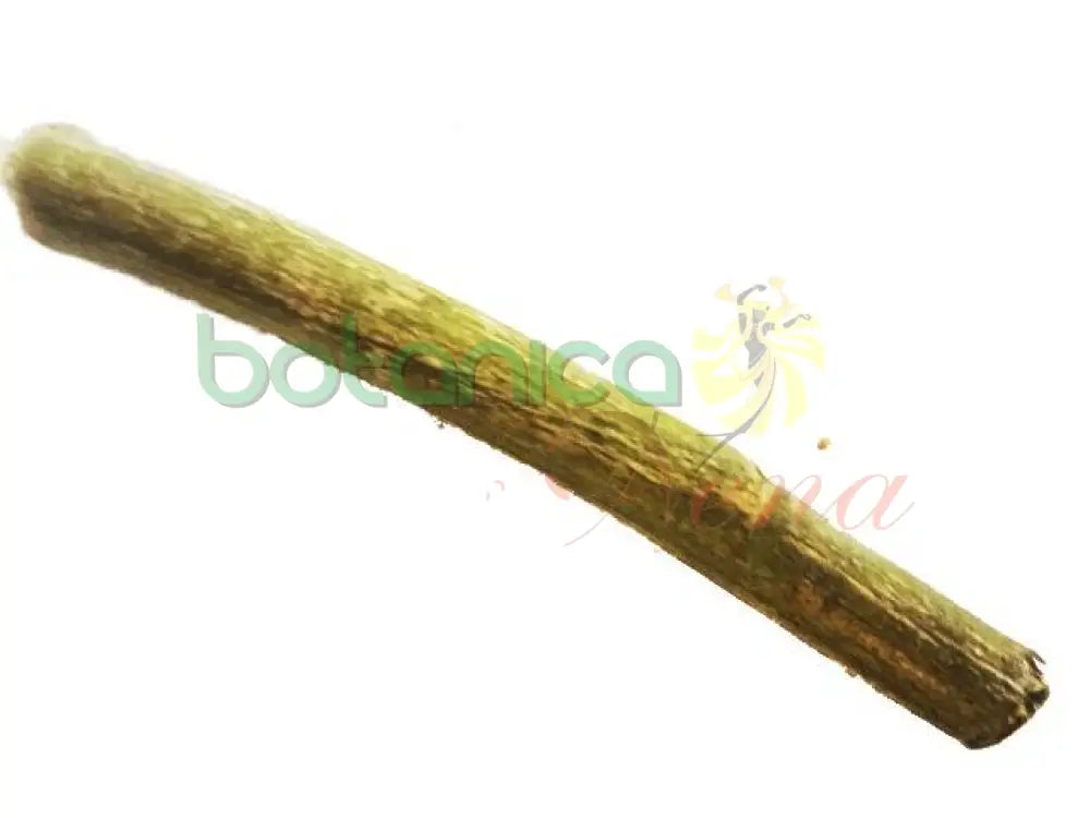 Palo Hediondo 5" - 6" Aprox. - Botanica Nena