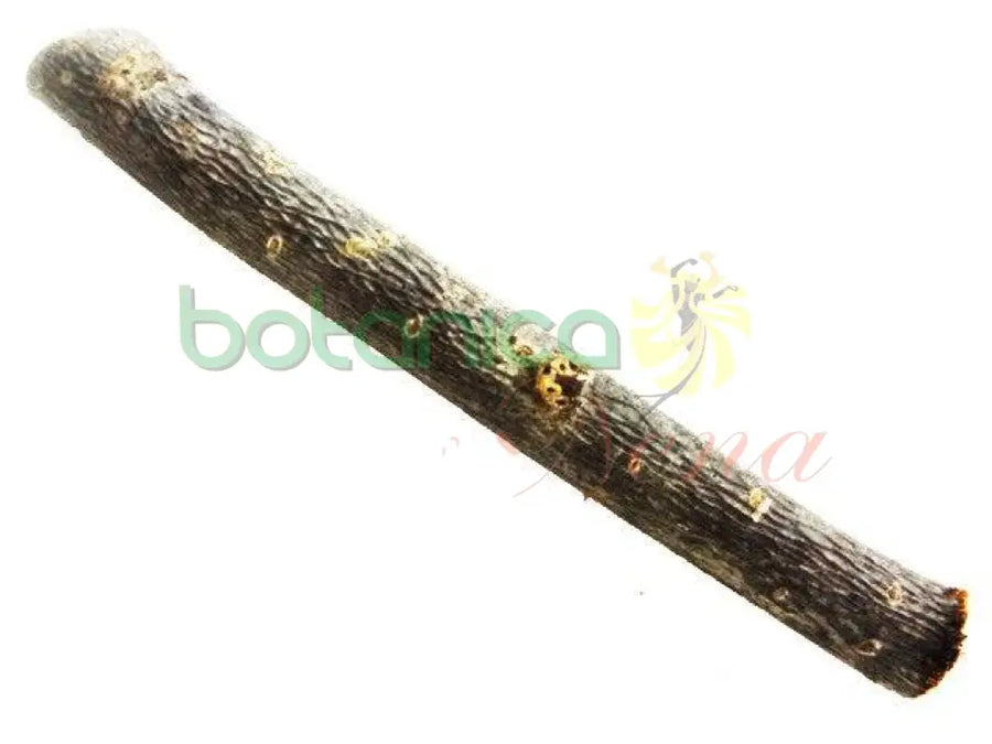 Palo Indio 5" - 6" Aprox. - Botanica Nena