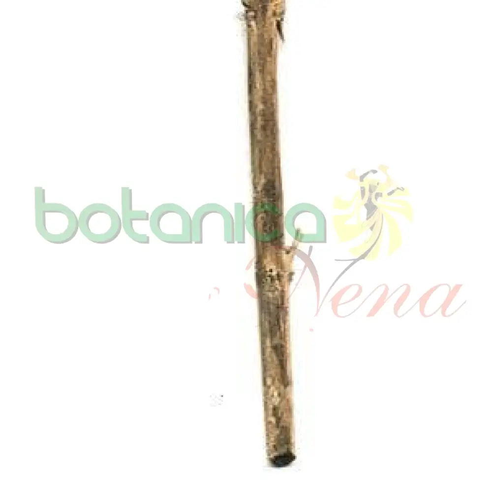 Palo Justicia 5" - 6" Aprox. - Botanica Nena