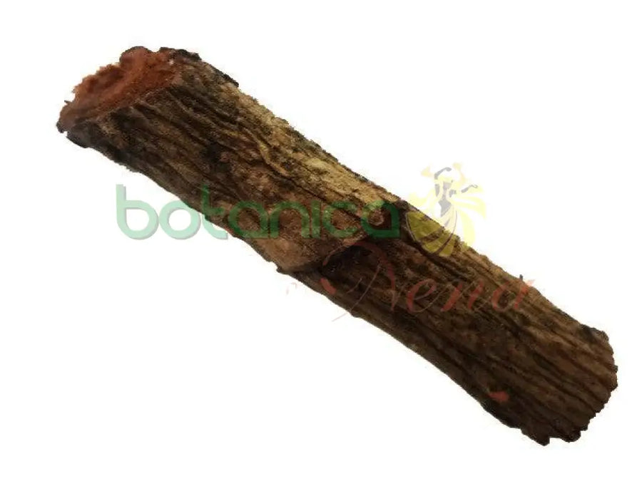 Palo Mangle Rojo 5" - 6" Aprox. - Botanica Nena