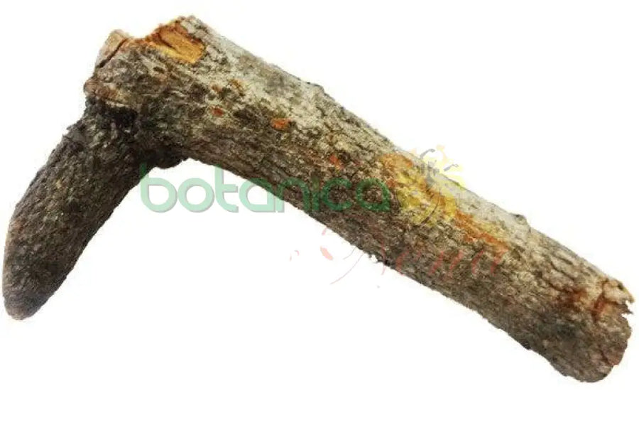 Palo Mata Negro 5" - 6" Aprox. - Botanica Nena