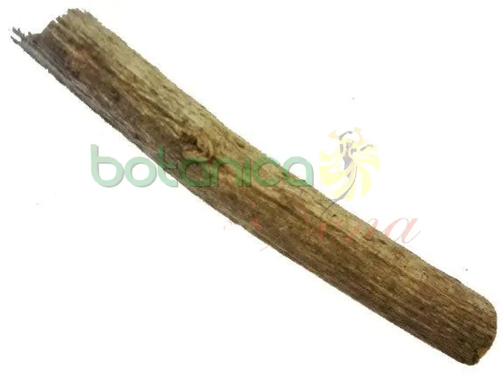 Palo Moro 5" - 6" Aprox. - Botanica Nena