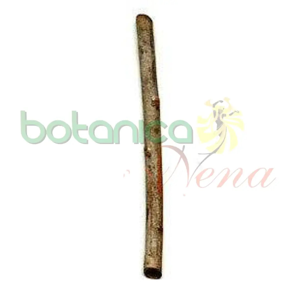 Palo Moruro 5" - 6" Aprox. - Botanica Nena