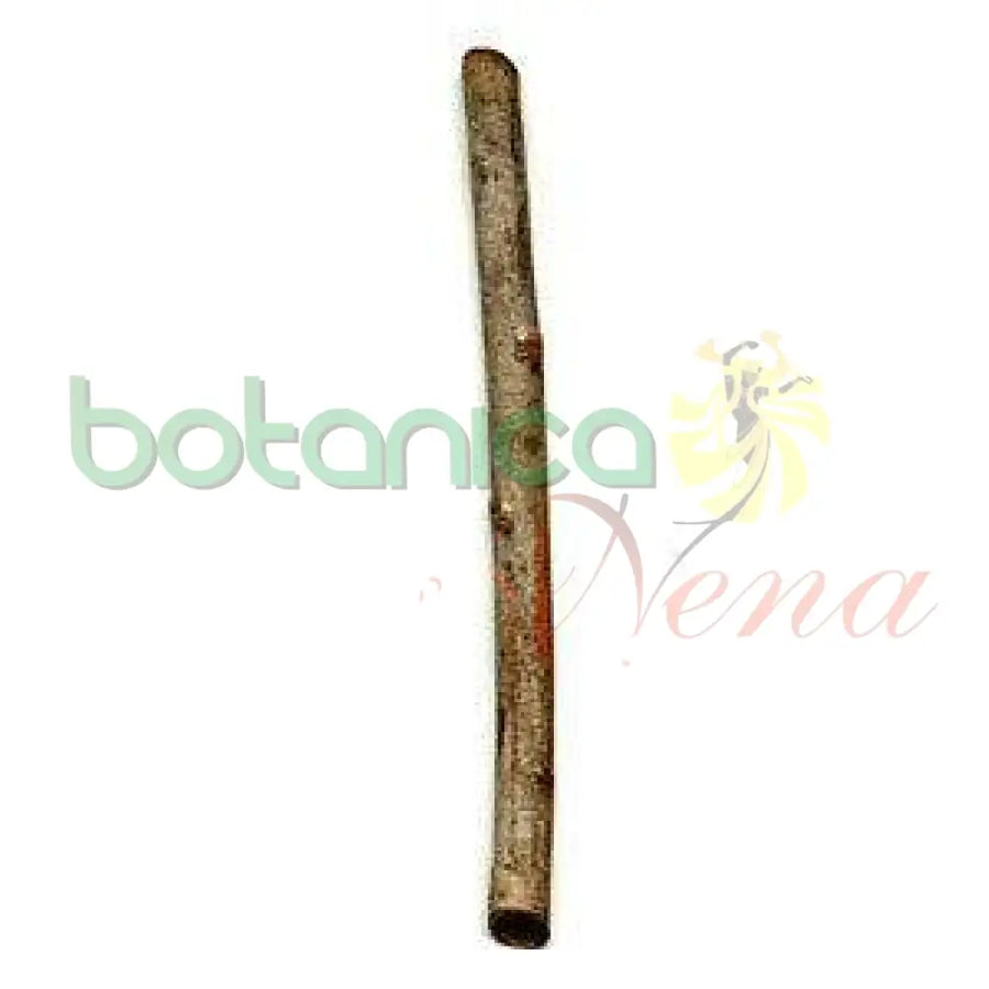 Palo Moruro 5" - 6" Aprox. - Botanica Nena