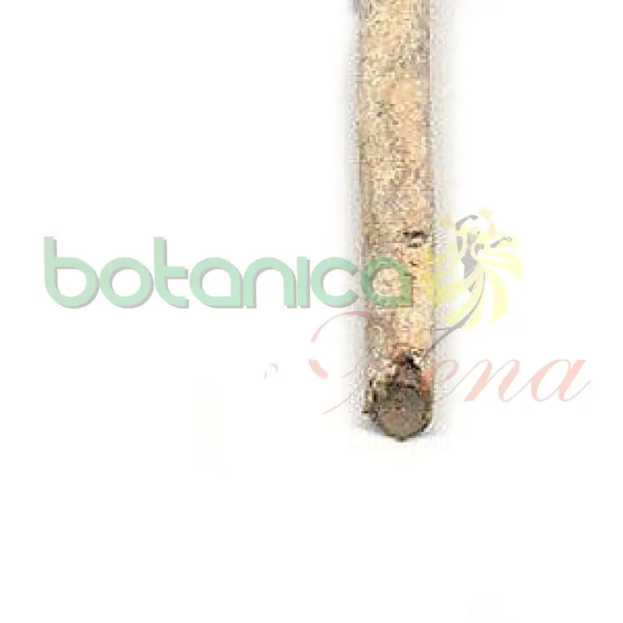 Palo Para Mi 5" - 6" Aprox. - Botanica Nena