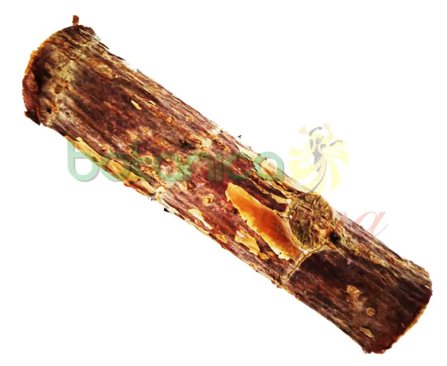 Palo Pegate 5" - 6" Aprox. - Botanica Nena