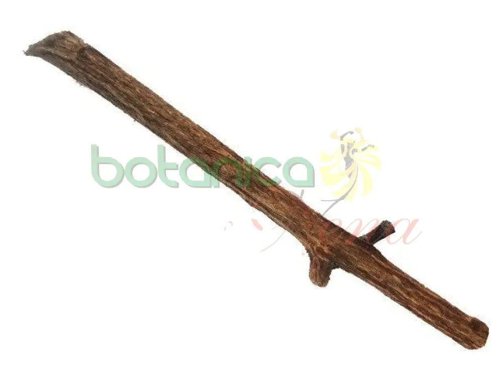 Palo Pomarrosa 5" - 6" Aprox. - Botanica Nena