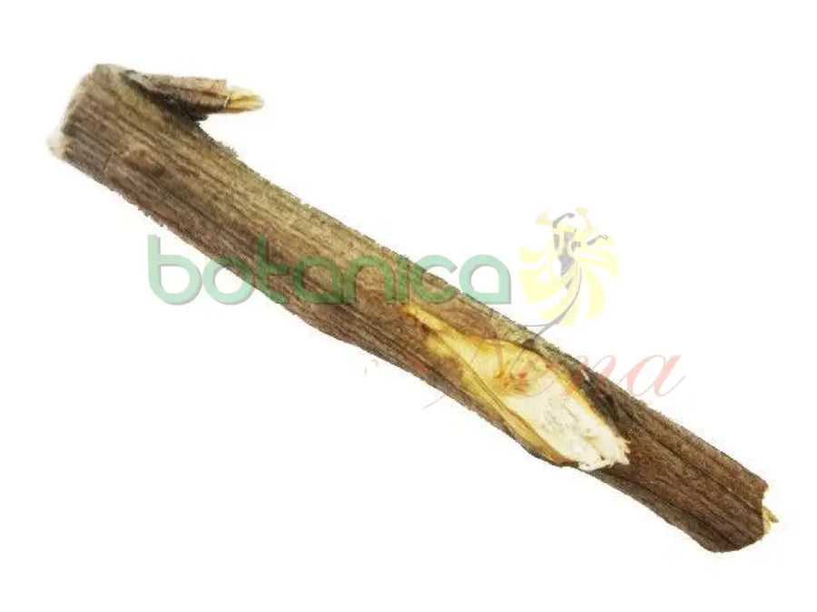 Palo Rasca Barriga 5" - 6" Aprox. - Botanica Nena