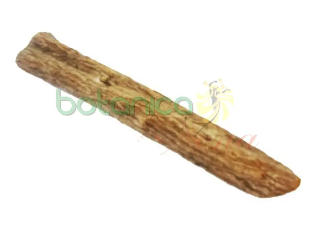 Palo Rompe Camisa 5" - 6" Aprox. - Botanica Nena