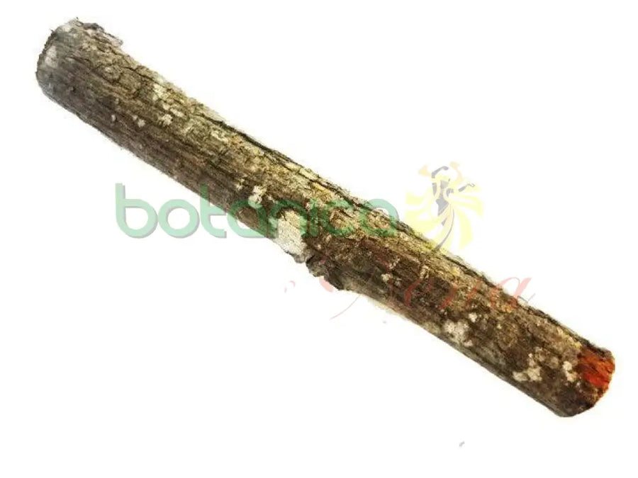 Palo Sabicu 5" - 6" Aprox. - Botanica Nena