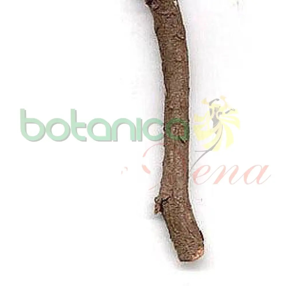 Palo Salta Perico 5" - 6" Aprox. - Botanica Nena