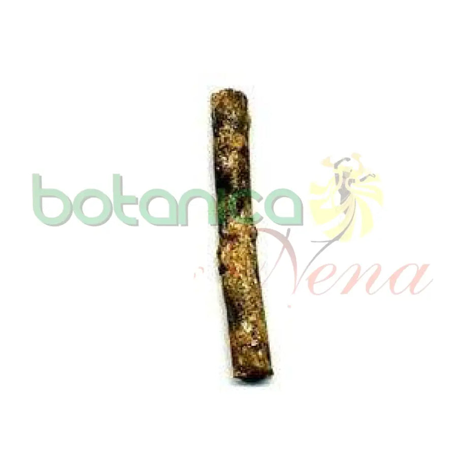 Palo Salvadera 5" - 6" Aprox. - Botanica Nena