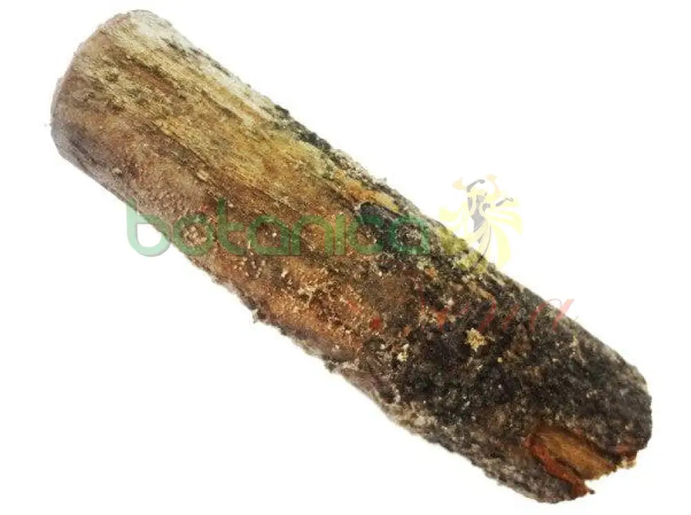 Palo Tate Quieto 5" - 6" Aprox. - Botanica Nena