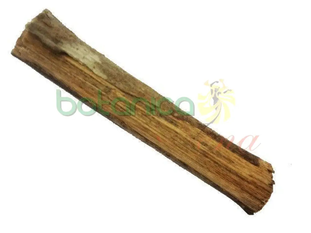 Palo Uña De Gato 5" - 6" - Botanica Nena