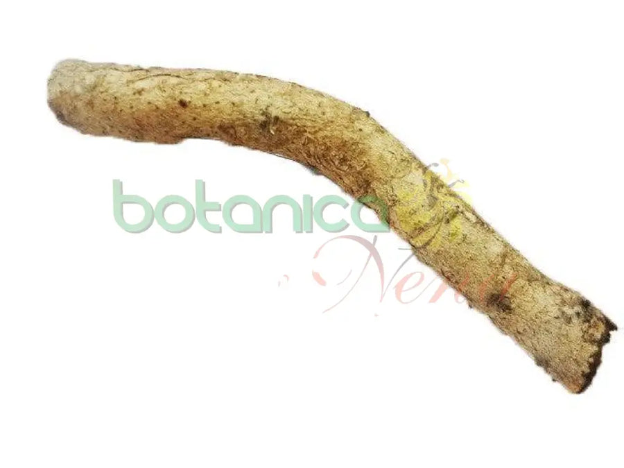 Palo Yaya 5" - 6" Aprox. - Botanica Nena